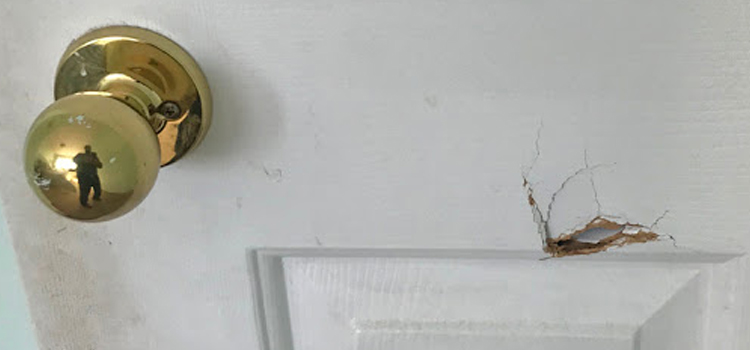 interior door hole repair Hanford